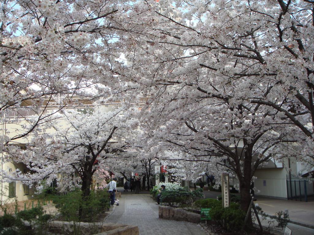 Hotel Wakamizu Takarazuka Bagian luar foto